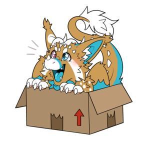 WARRANTY AND SHIPPING